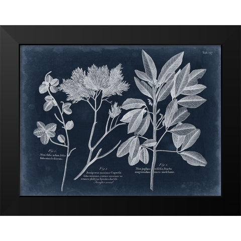 Foliage on Navy VI Black Modern Wood Framed Art Print by Vision Studio