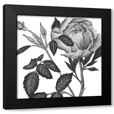 Flowers in Grey I Black Modern Wood Framed Art Print with Double Matting by Wang, Melissa