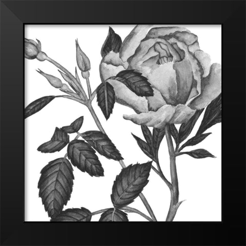 Flowers in Grey I Black Modern Wood Framed Art Print by Wang, Melissa