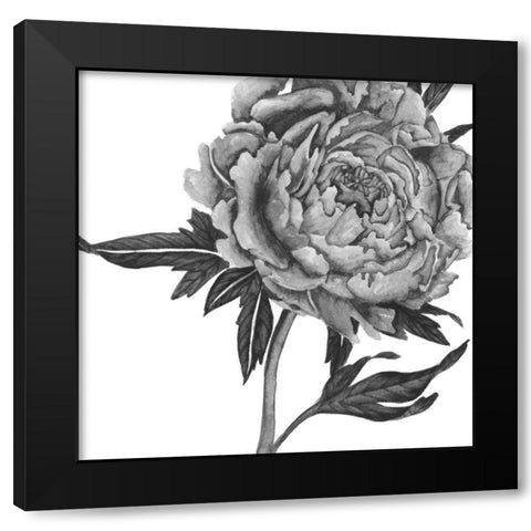 Flowers in Grey II Black Modern Wood Framed Art Print with Double Matting by Wang, Melissa