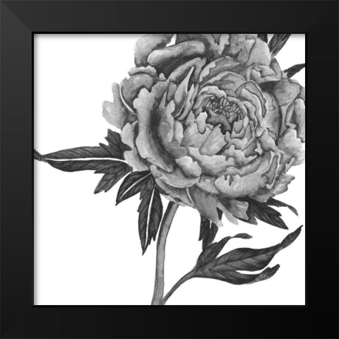 Flowers in Grey II Black Modern Wood Framed Art Print by Wang, Melissa