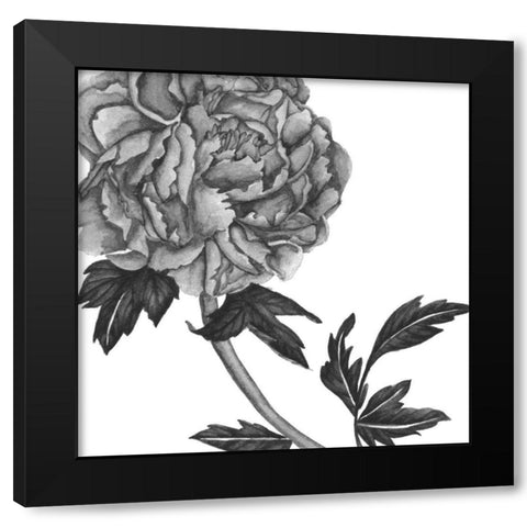 Flowers in Grey III Black Modern Wood Framed Art Print with Double Matting by Wang, Melissa