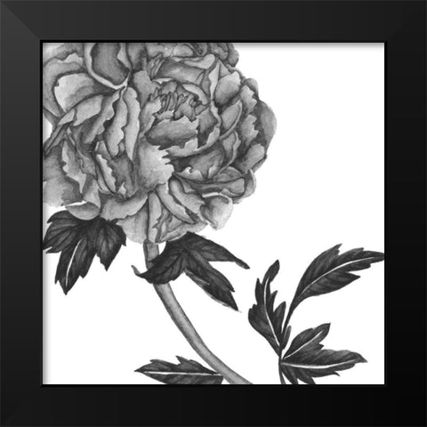 Flowers in Grey III Black Modern Wood Framed Art Print by Wang, Melissa