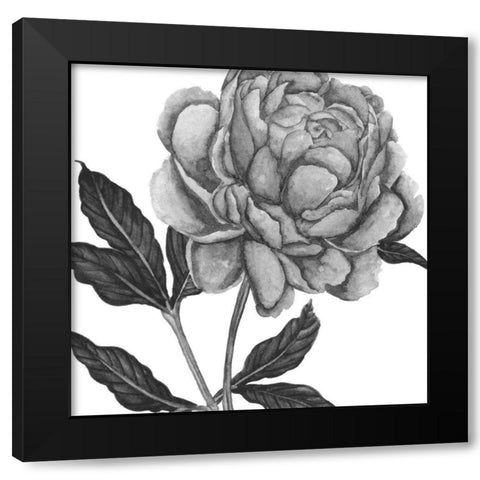 Flowers in Grey IV Black Modern Wood Framed Art Print with Double Matting by Wang, Melissa