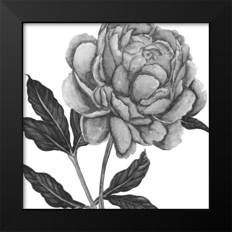 Flowers in Grey IV Black Modern Wood Framed Art Print by Wang, Melissa