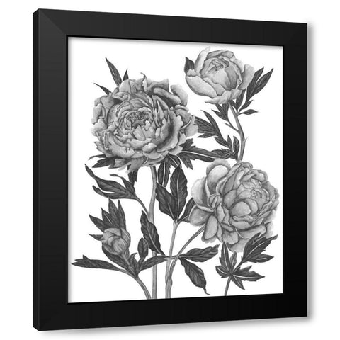 Flowers in Grey V Black Modern Wood Framed Art Print with Double Matting by Wang, Melissa