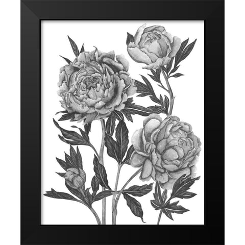 Flowers in Grey V Black Modern Wood Framed Art Print by Wang, Melissa