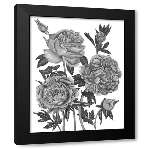 Flowers in Grey VI Black Modern Wood Framed Art Print with Double Matting by Wang, Melissa