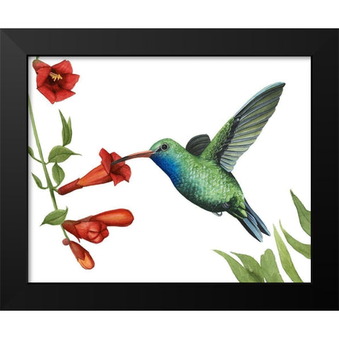 Hummingbird and Flower I Black Modern Wood Framed Art Print by Popp, Grace