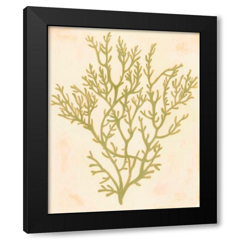 Deep Sea Coral I Black Modern Wood Framed Art Print with Double Matting by Popp, Grace