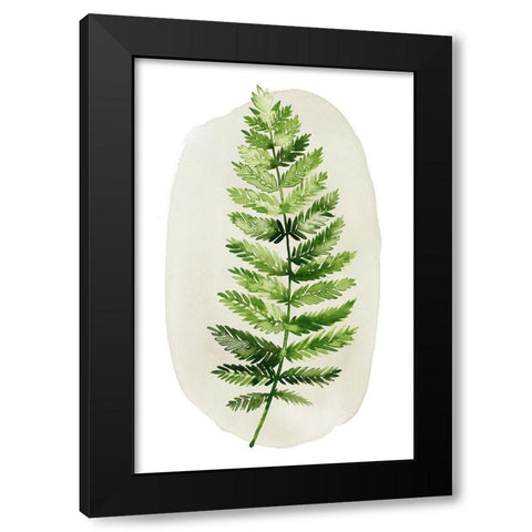 Spot Fern II Black Modern Wood Framed Art Print with Double Matting by Popp, Grace