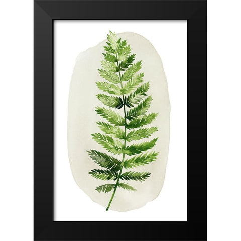 Spot Fern II Black Modern Wood Framed Art Print by Popp, Grace