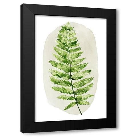 Spot Fern III Black Modern Wood Framed Art Print by Popp, Grace