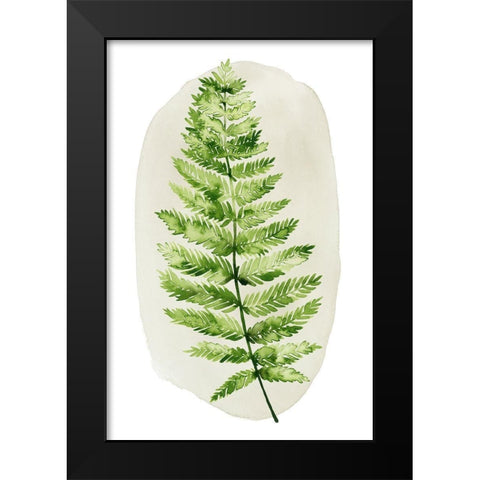 Spot Fern III Black Modern Wood Framed Art Print by Popp, Grace
