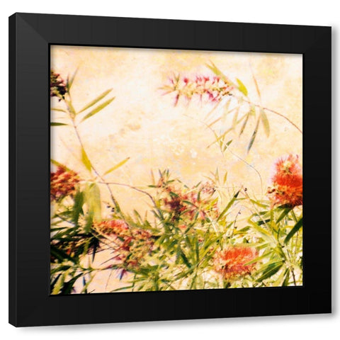 Bottle Brush III Black Modern Wood Framed Art Print with Double Matting by Nall, Skip