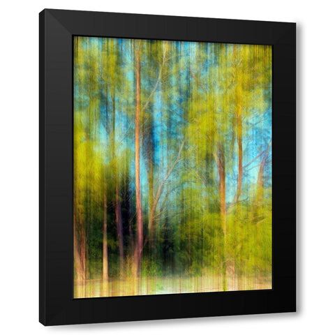 Tree Blur II Black Modern Wood Framed Art Print by Nall, Skip