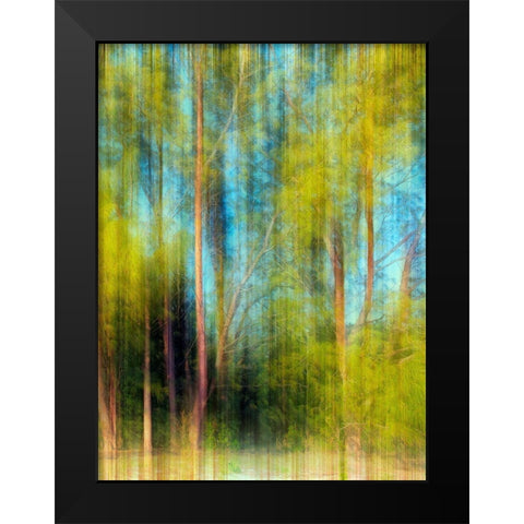 Tree Blur II Black Modern Wood Framed Art Print by Nall, Skip