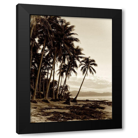 Island Palms I Black Modern Wood Framed Art Print with Double Matting by Nall, Skip