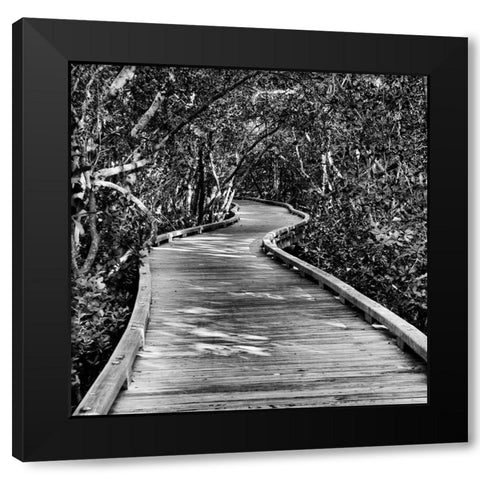 Southern Swing II Black Modern Wood Framed Art Print by Nall, Skip