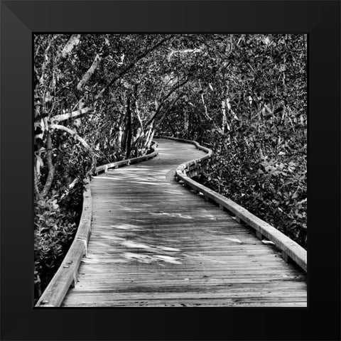 Southern Swing II Black Modern Wood Framed Art Print by Nall, Skip