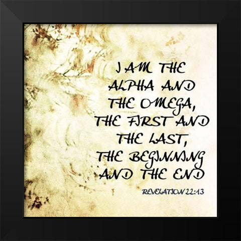 Spiritual II Black Modern Wood Framed Art Print by Nall, Skip