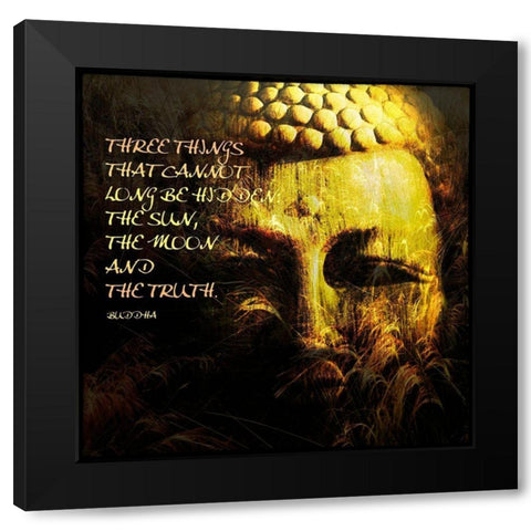 Spiritual III Black Modern Wood Framed Art Print by Nall, Skip