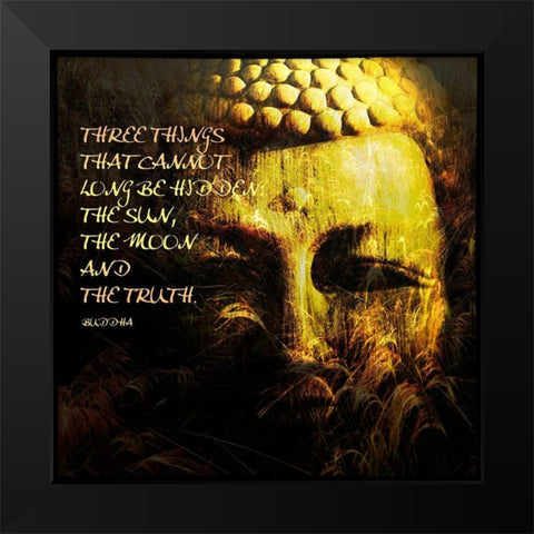 Spiritual III Black Modern Wood Framed Art Print by Nall, Skip