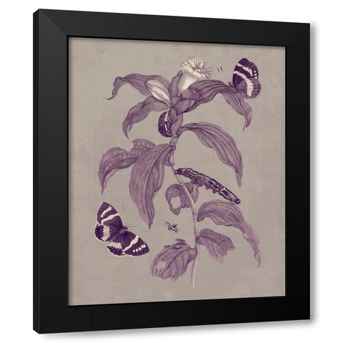 Nature Study in Plum and Taupe I Black Modern Wood Framed Art Print with Double Matting by Merian, Maria S.