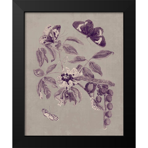 Nature Study in Plum and Taupe II Black Modern Wood Framed Art Print by Merian, Maria S.