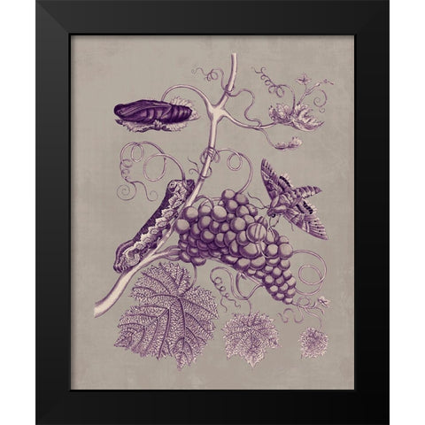 Nature Study in Plum and Taupe III Black Modern Wood Framed Art Print by Merian, Maria S.