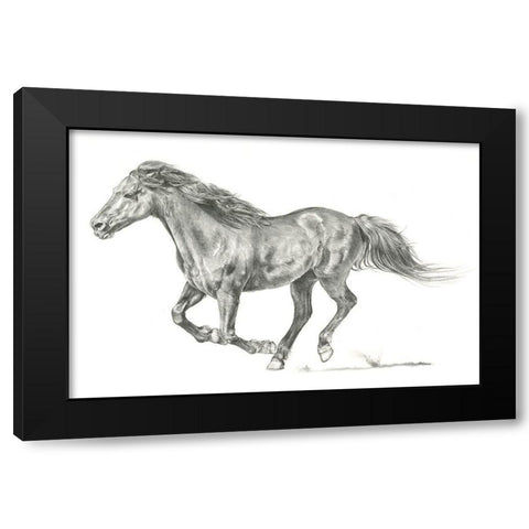 Wild Horse Portrait I Black Modern Wood Framed Art Print by Parker, Jennifer Paxton