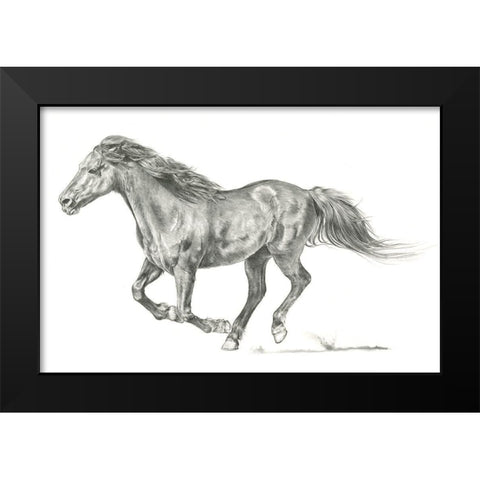 Wild Horse Portrait I Black Modern Wood Framed Art Print by Parker, Jennifer Paxton