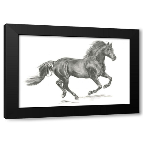 Wild Horse Portrait II Black Modern Wood Framed Art Print by Parker, Jennifer Paxton
