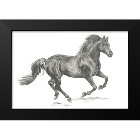 Wild Horse Portrait II Black Modern Wood Framed Art Print by Parker, Jennifer Paxton