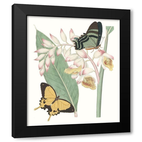 Les Papillons I Black Modern Wood Framed Art Print with Double Matting by Vision Studio