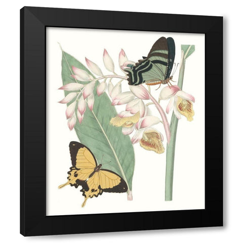 Les Papillons I Black Modern Wood Framed Art Print by Vision Studio