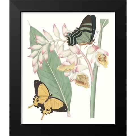 Les Papillons I Black Modern Wood Framed Art Print by Vision Studio