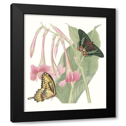 Les Papillons II Black Modern Wood Framed Art Print with Double Matting by Vision Studio