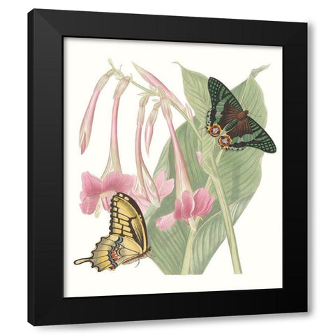 Les Papillons II Black Modern Wood Framed Art Print by Vision Studio