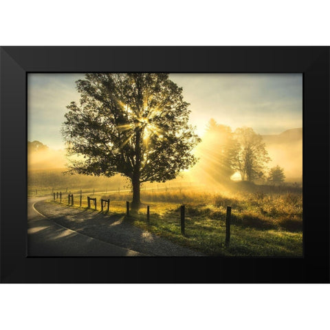 Custom Wake Up Call Black Modern Wood Framed Art Print by Head, Danny