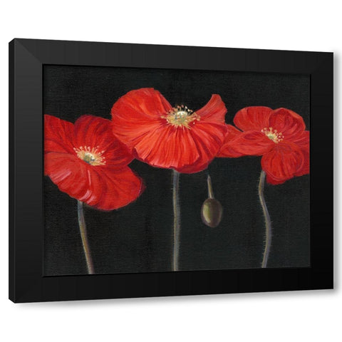 Poppy Trio I Black Modern Wood Framed Art Print with Double Matting by Iafrate, Sandra