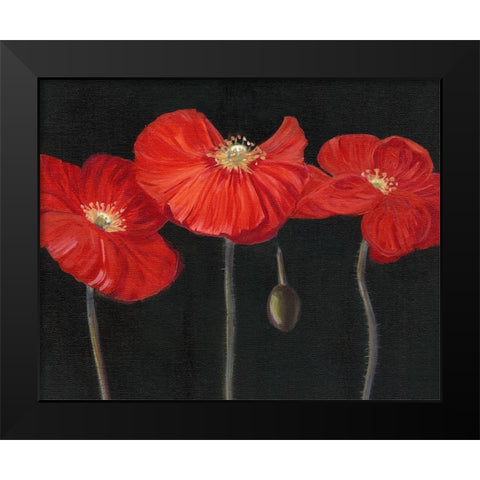 Poppy Trio I Black Modern Wood Framed Art Print by Iafrate, Sandra