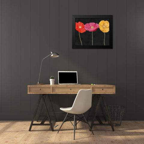 Poppy Trio II Black Modern Wood Framed Art Print by Iafrate, Sandra