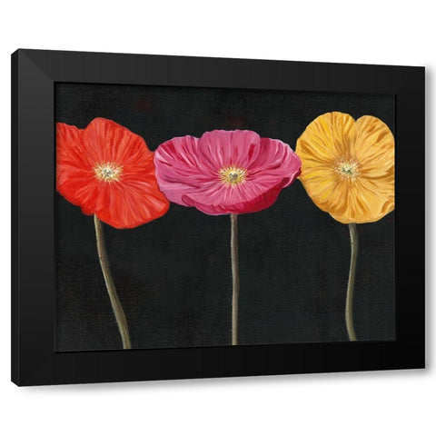 Poppy Trio II Black Modern Wood Framed Art Print with Double Matting by Iafrate, Sandra