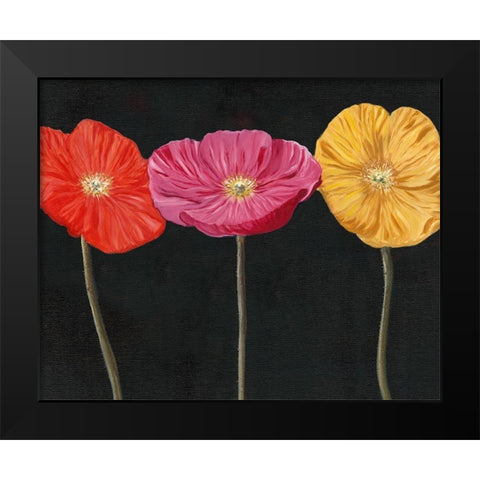 Poppy Trio II Black Modern Wood Framed Art Print by Iafrate, Sandra