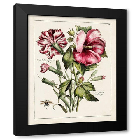 Pink Hibiscus Black Modern Wood Framed Art Print by Unknown