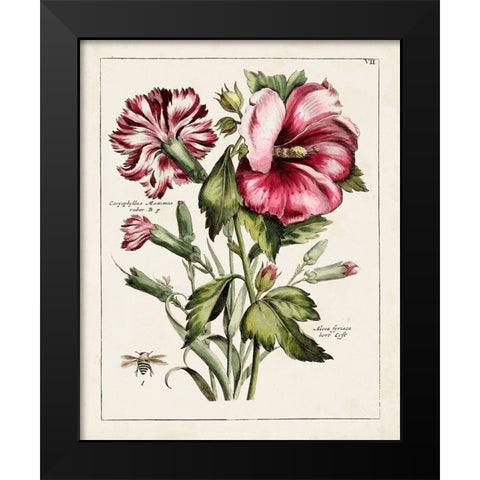 Pink Hibiscus Black Modern Wood Framed Art Print by Unknown