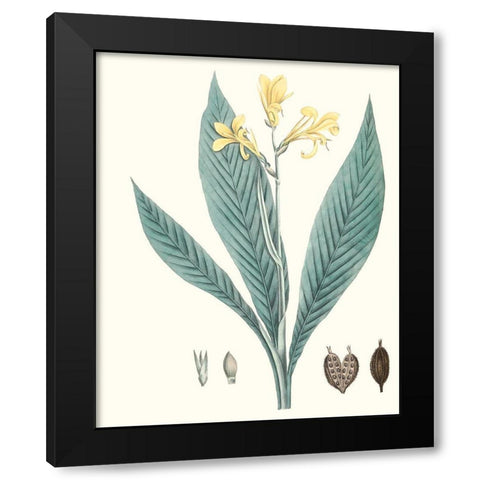 Soft Tropical IV Black Modern Wood Framed Art Print with Double Matting by Smith, George