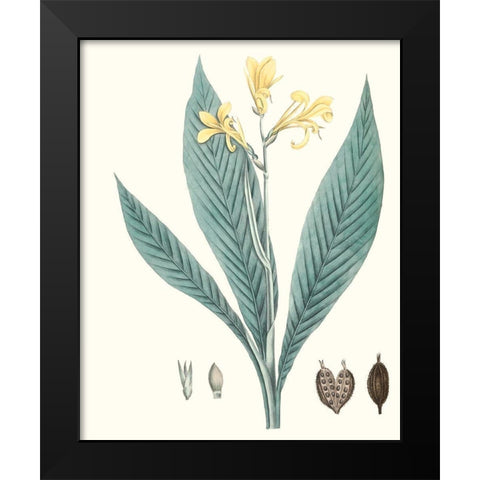 Soft Tropical IV Black Modern Wood Framed Art Print by Smith, George
