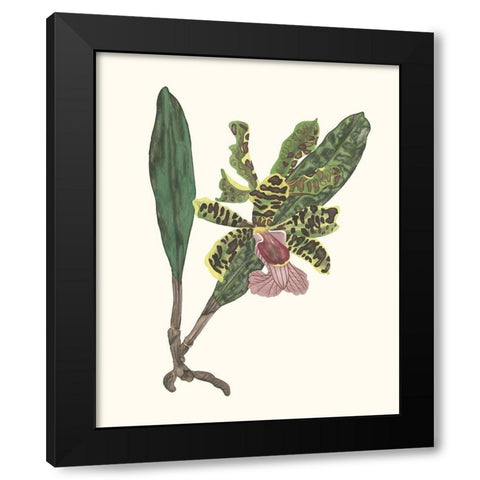 Orchid Display II Black Modern Wood Framed Art Print with Double Matting by Wang, Melissa